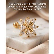 Begonia Accessories 316L Cerrahi Çelik Altın Kaplama Kararmaz Alerji Yapmaz Zirkon Taş Figür Unisex Tragus Helix Küpe Piercing A106-8