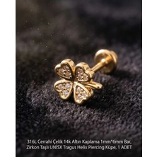 Begonia Accessories 316L Cerrahi Çelik Altın Kaplama Kararmaz Alerji Yapmaz Zirkon Taş Figür Unisex Tragus Helix Küpe Piercing A429-11
