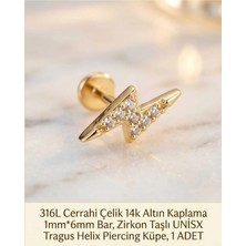 Begonia Accessories 316L Cerrahi Çelik Altın Kaplama Kararmaz Alerji Yapmaz Zirkon Taş Figür Unisex Tragus Helix Küpe Piercing A429-2