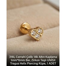 Begonia Accessories 316L Cerrahi Çelik Altın Kaplama Kararmaz Alerji Yapmaz Zirkon Taş Figür Unisex Tragus Helix Küpe Piercing A429-20