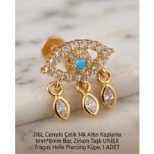 Begonia Accessories 316L Cerrahi Çelik Altın Kaplama Kararmaz Alerji Yapmaz Zirkon Taş Figür Unisex Tragus Helix Küpe Piercing A429-34