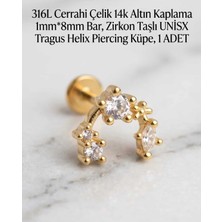 Begonia Accessories 316L Cerrahi Çelik Altın Kaplama Kararmaz Alerji Yapmaz Zirkon Taş Figür Unisex Tragus Helix Küpe Piercing A429-43
