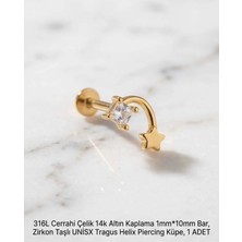 Begonia Accessories 316L Cerrahi Çelik Altın Kaplama Kararmaz Alerji Yapmaz Zirkon Taş Figür Unisex Tragus Helix Küpe Piercing A429-48