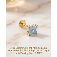 Begonia Accessories 316L Cerrahi Çelik Altın Kaplama Kararmaz Alerji Yapmaz Zirkon Taş Figür Unisex Tragus Helix Küpe Piercing A429-51