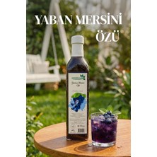 Karadut Dünyası Yaban Mersini Özü 700 gr Doğal Lezzetli Helva Ürünü Türkiye Menşeli