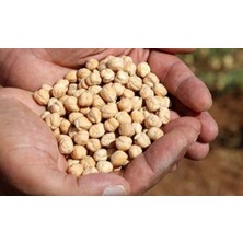 CBM Iri Nohut5 Kilo