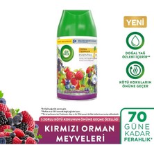 Air Wick Kırmızı Orman Meyveleri Oda Kokusu Freshmatic Yedek Spreyi 250 ml