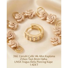 Begonia Accessories 316L Cerrahi Çelik Altın Kaplama Kararmaz Alerji Yapmaz Zirkon Taş Figür 1 Adet Unisex Minimal Halka Tragus Helix Küpe Piercing A503-10