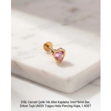 Begonia Accessories 316L Cerrahi Çelik Altın Kaplama Kararmaz Alerji Yapmaz Zirkon Taş Figür Unisex Tragus Helix Küpe Piercing A429-24