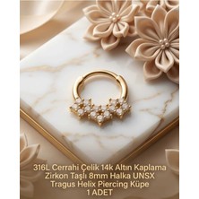 Begonia Accessories 316L Cerrahi Çelik Altın Kaplama Kararmaz Alerji Yapmaz Zirkon Taş Figür 1 Adet Unisex Minimal Halka Tragus Helix Küpe Piercing A503-17