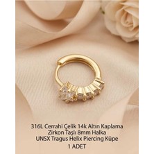 Begonia Accessories 316L Cerrahi Çelik Altın Kaplama Kararmaz Alerji Yapmaz Zirkon Taş Figür 1 Adet Unisex Minimal Halka Tragus Helix Küpe Piercing A503-15