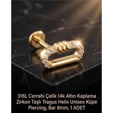Begonia Accessories 316L Cerrahi Çelik Altın Kaplama Kararmaz Alerji Yapmaz Zirkon Taş Figür Unisex Tragus Helix Küpe Piercing A106-25