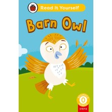 Ladybird Barn Owl Read It Yourself