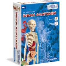 Clementoni İlk Keşiflerim - İnsan Anatomisi