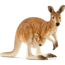 Imaginarium Fw Canguro / Kangaroo