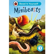 Ladybird Minibeasts Read It Yourself