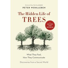 Greystone Books The Hidden Life Of Trees What They Feel, How They Communicate