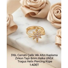 Begonia Accessories 316L Cerrahi Çelik Altın Kaplama Kararmaz Alerji Yapmaz Zirkon Taş Figür 1 Adet Unisex Minimal Halka Tragus Helix Küpe Piercing A503-12