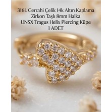 Begonia Accessories 316L Cerrahi Çelik Altın Kaplama Kararmaz Alerji Yapmaz Zirkon Taş Figür 1 Adet Unisex Minimal Halka Tragus Helix Küpe Piercing A503-27