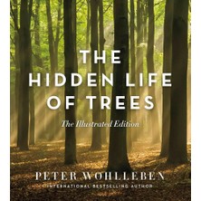 Greystone Books The Hidden Life Of Trees The Illustrated Edition