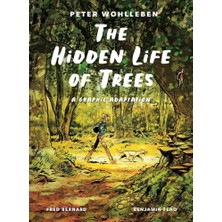 Greystone Books The Hidden Life Of Trees A Graphic Adaptation
