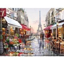 Womb Hobby Paris Sayılarla Boyama Seti 40X50 cm Tuvale Gerili Sanatsal Malzeme