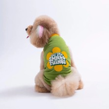Pawstar Green-Yeşil Small Things Tişört Kedi Köpek Tişörtü-Kedi Köpek Kıyafeti