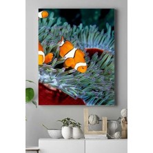 Zenwaya Store (PSTER15141) Balık Hayvan Kanvas Tablo 50 x 70