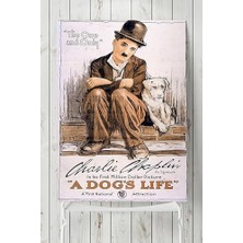 Zenwaya Store (PSTER4099) A Dogs Life Film Afişi 50X70 cm