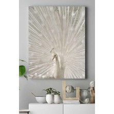 Zenwaya Store (PSTER18094) Tavus Kuşu Hayvan Kanvas Tablo 30 x 40