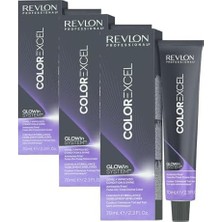 Zenwaya Store Professional Colour Rp Excel 8.21 70ML (3 Paketi)