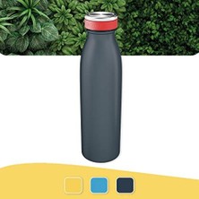 Zenwaya Store Cosy Yalıtımlı Termos Su Şişesi 500 ml