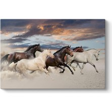 Zenwaya Store Muhteşem Atlar Tablosu 45 x 30