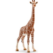 Schleich Dişi Zürafa 14750