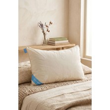 Palmera Wool Well %100 Doğal Woolmark Yün Yastık 50X70 - 1000 gr Yıkanabilir Pamuk Kılıflı Antialerjik