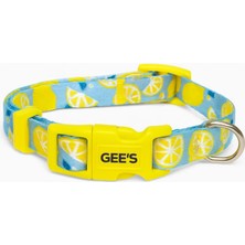 Gee's Premium Klipsli ve Renki Desenli Lemon Bits Köpek Boyun Tasması