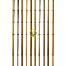 Fidan Sepetim Fidan Dikim Destek Çubuğu 50 Adet (180CM)