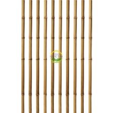 Fidan Sepetim Fidan Dikim Destek Çubuğu 10 Adet (180CM)