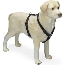 Odea Kilitli Göğüs Tasması, Köpekler Için L Beden 65-100 cm Siyah Renk