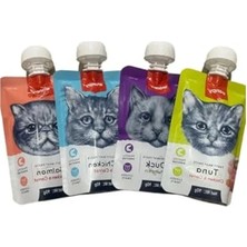 Odea Karışık Sıvı Kedi Ödül Maması, 4 x 90 G Pratik Paket