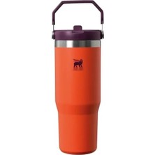 Odea Turuncu/mürdüm Pipetli Termos Bardak, 0.89 Litre Yalıtımlı