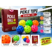 Avessa PBAL-600 Pıckle Topu 40 Delikli 6lı