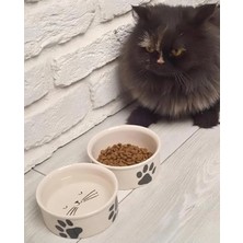Odea Doğal Hijyenik Seramik Kedi Mama ve Su Kabı Seti (2 Adet)