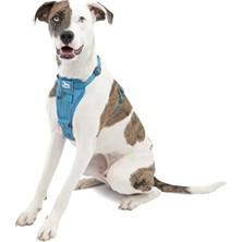 Odea Hızlı Kilitli Köpek Koşum Takımı - Mavi, Orta Boy