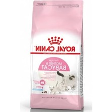 Odea Yavru Kediler Için Besleyici Kuru Mama, 2 Kg, Sağlıklı Gelişim