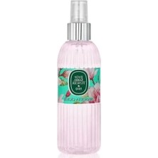Odea 150 ml Manolya Çiçeği Kolonyası, Ferahlatıcı Etki