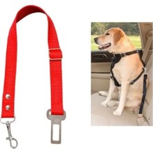 Odea Kedi ve Köpek Araç Emniyet Kemeri, Kırmızı Renk Seçeneği