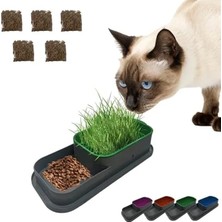 Odea Hidroponik Kedi Çimi Seti, 5 Paket, Doğal Çim Yetiştirme