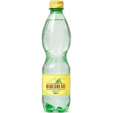 Nabeghlavi Doğal Mineralli Su 500 mL Pet (12'li Koli)