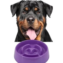 Odea Yavaş Mama Kabı - Kedi ve Köpekler Için - 375 ml